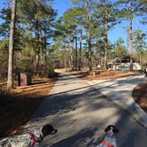 Review photo of Jones Lake State Park Campground by MickandKarla W., March 25, 2021