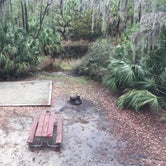 Review photo of Skidaway Island State Park Campground by MickandKarla W., March 25, 2021