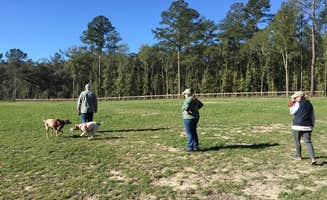 MickandKarla W.'s photo of camping with pets at Madison RV Resort and Golf Course near Valdosta, GA