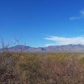 Review photo of Roosevelt Lake - Schoolhouse Campground by Joe L., March 25, 2021