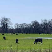 Review photo of Jacksonport State Park Campground by Ray & Terri F., March 25, 2021