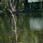 Review photo of Monument Lake Campground — Big Cypress National Preserve by Deborah C., March 25, 2021