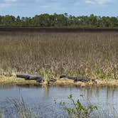 Review photo of Monument Lake Campground — Big Cypress National Preserve by Deborah C., March 25, 2021