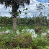 Review photo of Monument Lake Campground — Big Cypress National Preserve by Deborah C., March 25, 2021