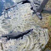 Review photo of Monument Lake Campground — Big Cypress National Preserve by Deborah C., March 25, 2021