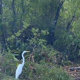 Review photo of Monument Lake Campground — Big Cypress National Preserve by Deborah C., March 25, 2021