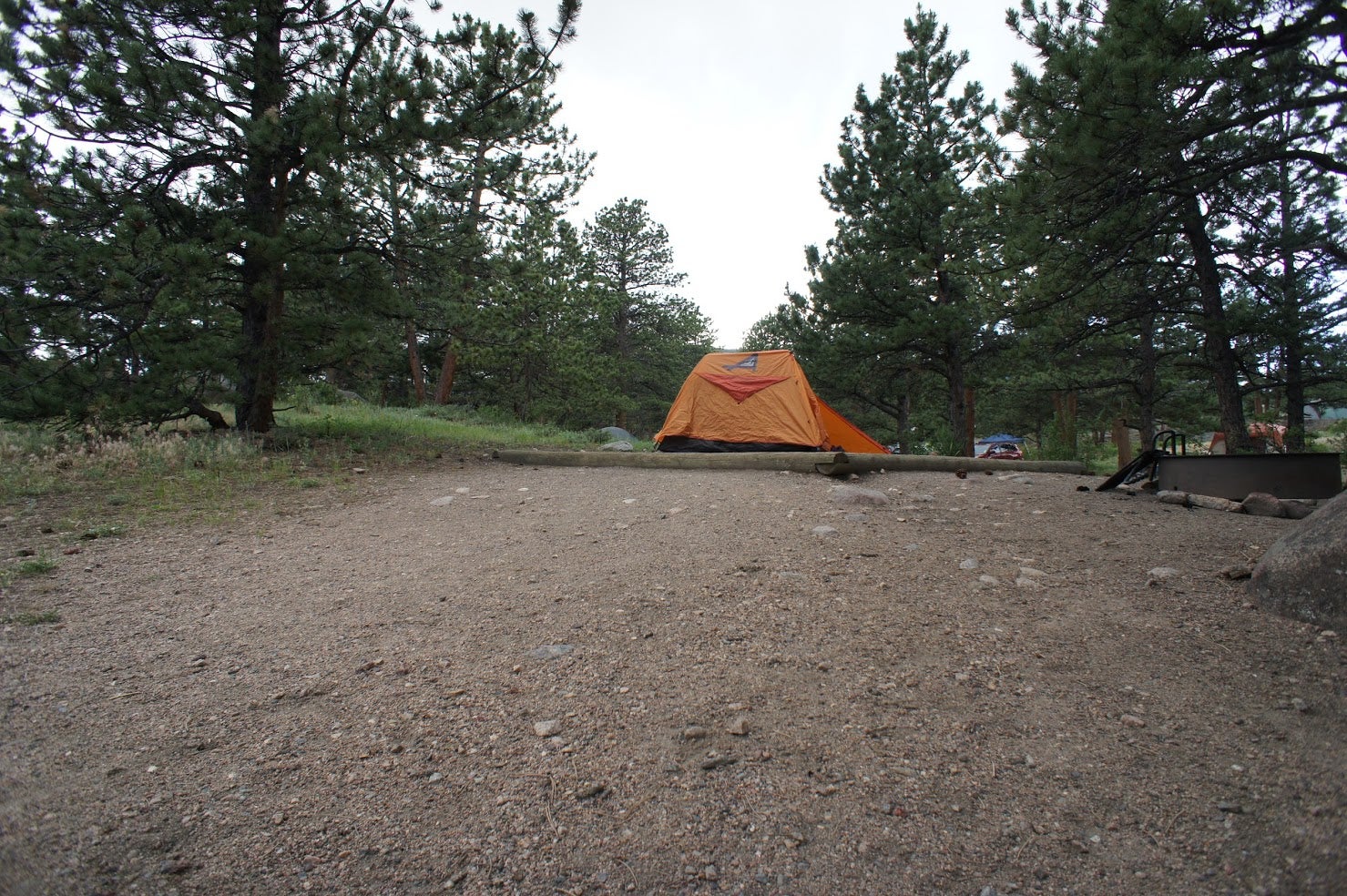Camper submitted image from Moraine Park Campground — Rocky Mountain National Park - 4