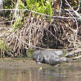 Review photo of Koreshan State Park Campground by Dave V., September 9, 2016