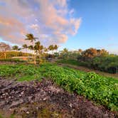 Review photo of Waiʻanapanapa State Park Campground by Raphaela H., March 25, 2021