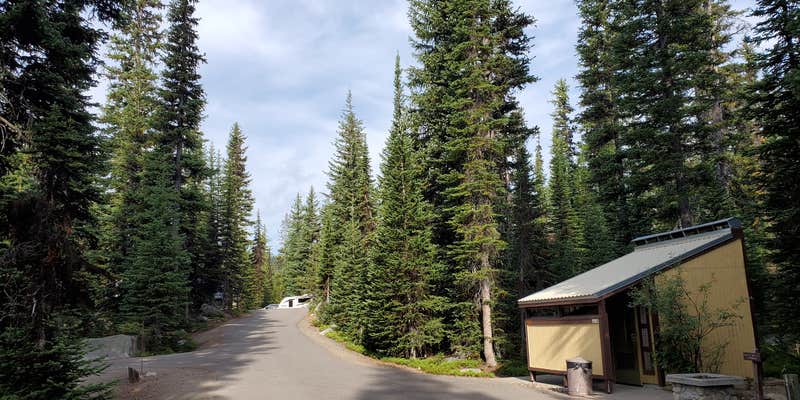 Camper submitted image from Anthony Lakes Mountain Resort Campground