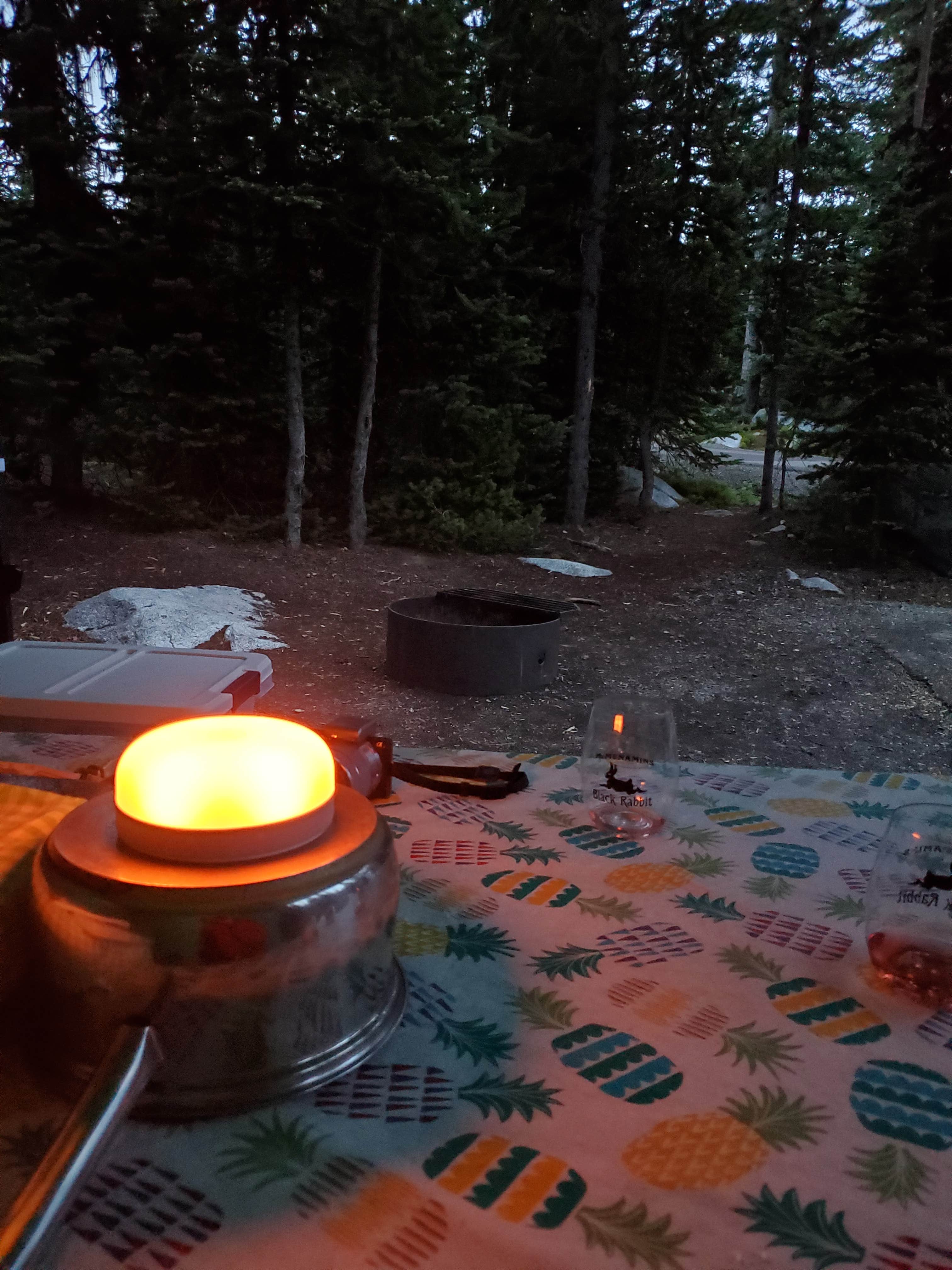 Camper submitted image from Anthony Lakes Mountain Resort Campground - 5