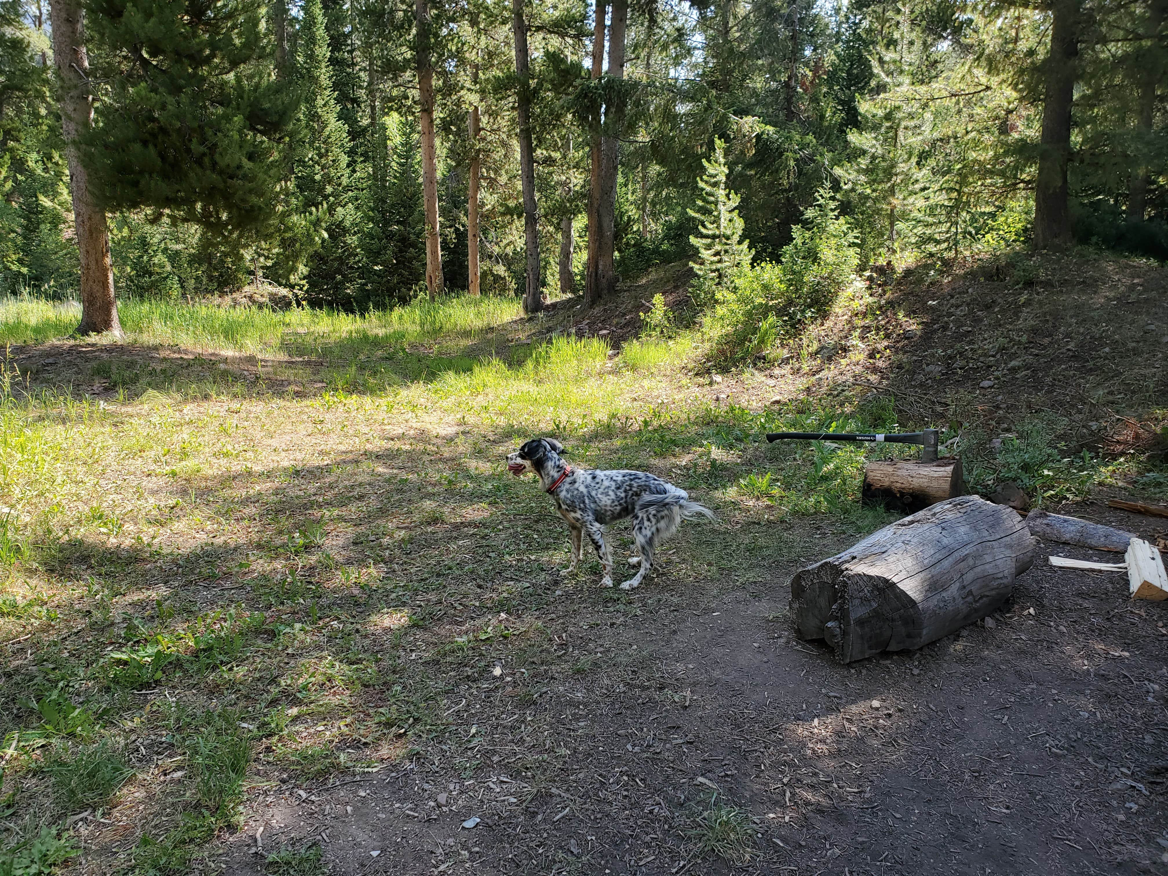 Camping near Kelley Guard Station: Hobble Creek, Smoot, Wyoming