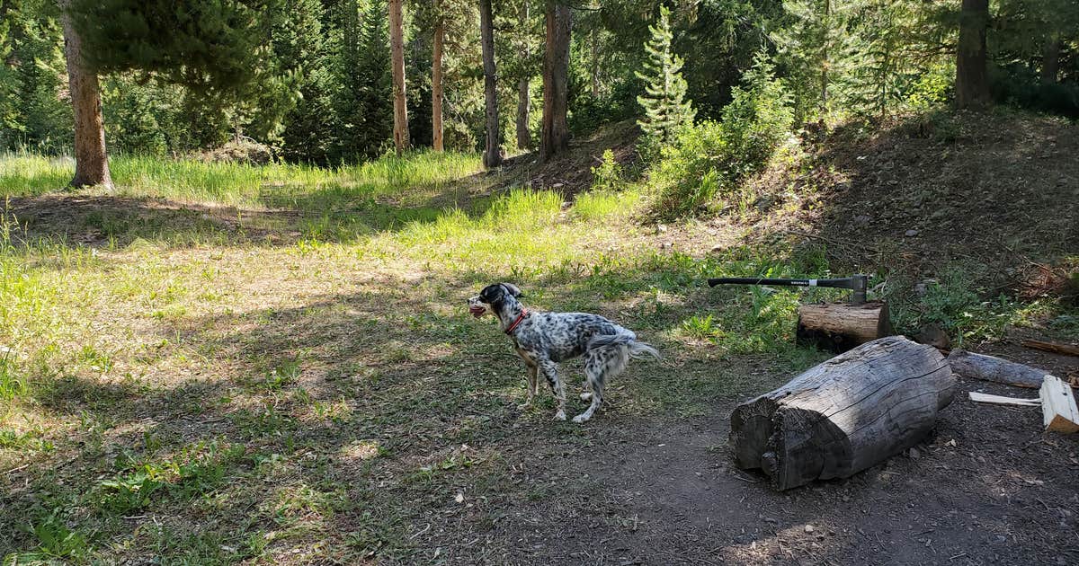 Hobble Creek