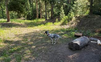 Ryan M.'s photo of camping with pets at Hobble Creek near Thayne, WY