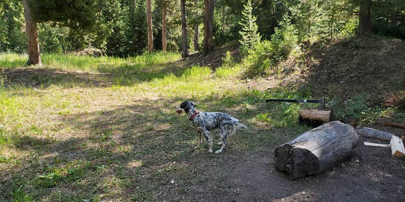 Camper submitted image from Hobble Creek