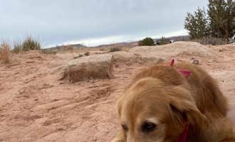 Camping near Devils Garden Campground — Arches National Park: Willow Springs Trail, Moab, Utah