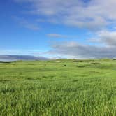 Review photo of Sage Creek Campground by Laura C., May 31, 2018
