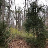 Review photo of Occoneechee State Park Campground by RL , March 25, 2021