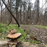 Review photo of Occoneechee State Park Campground by RL , March 25, 2021