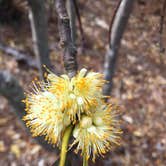 Review photo of Talladega National Forest Lake Chinnabee Recreation Area by Asher K., May 31, 2018