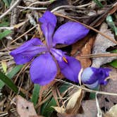 Review photo of Talladega National Forest Lake Chinnabee Recreation Area by Asher K., May 31, 2018