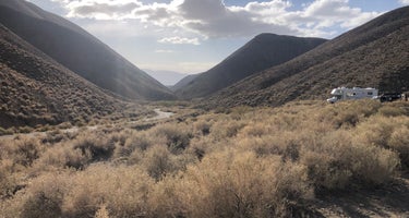 Wildrose - Death Valley National Park