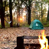 Review photo of Mathews Arm Campground — Shenandoah National Park by Fabein D., March 26, 2021