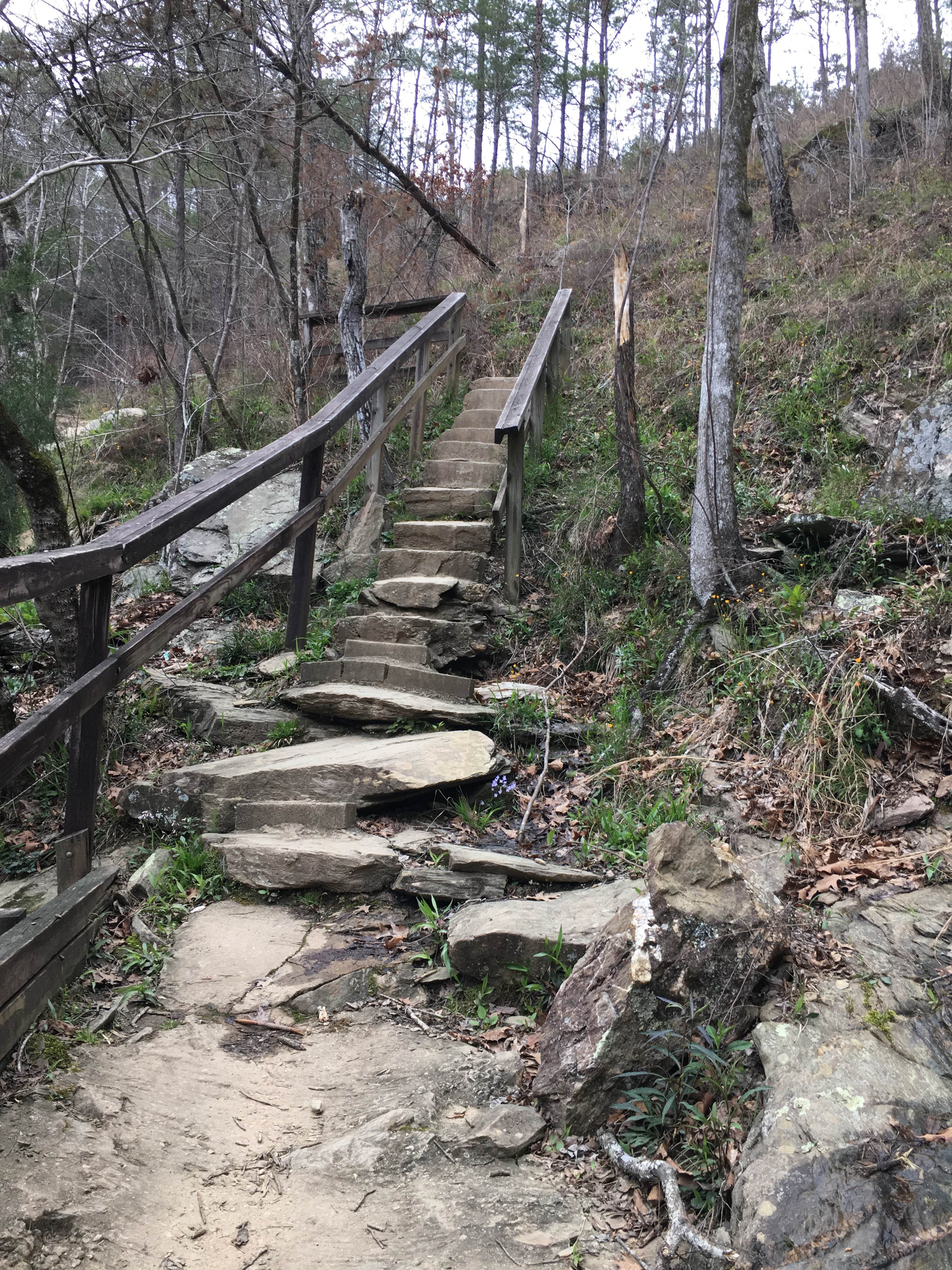 Camper submitted image from Talladega National Forest Lake Chinnabee Recreation Area - 5