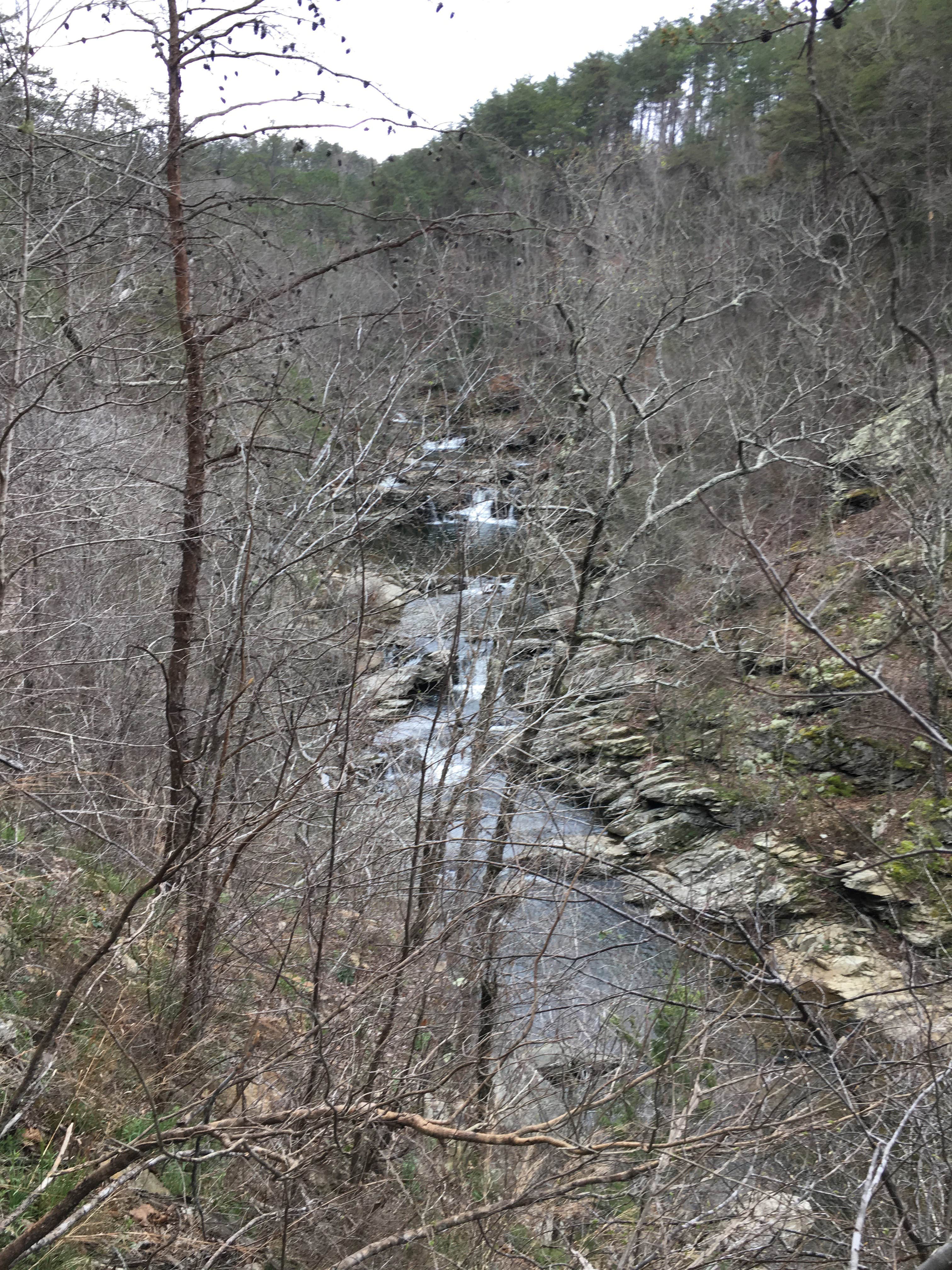 Camper-submitted photo at Talladega National Forest Lake Chinnabee Recreation Area near Lineville, AL