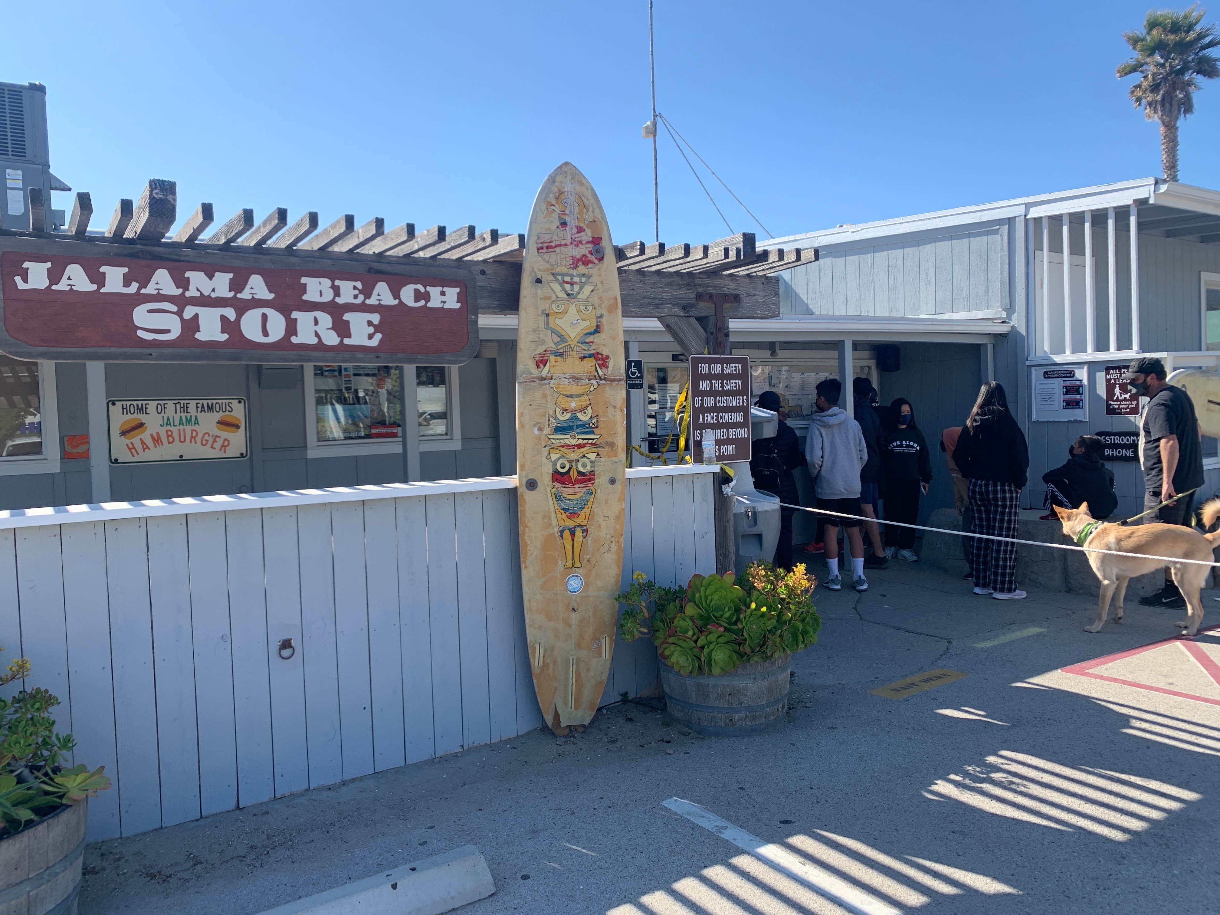 Christine O.'s photo of camping with pets at Jalama Beach County Park near Santa Maria, CA