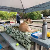 Review photo of Jalama Beach County Park by Christine O., March 26, 2021