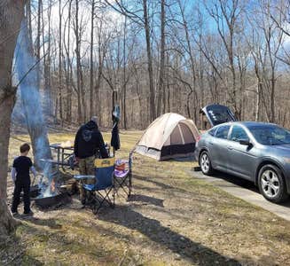 Camper-submitted photo from Little Grassy Lake Campground