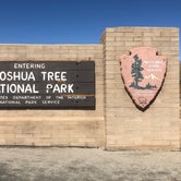 Review photo of Joshua Tree South - BLM Dispersed by Jennifer S., March 26, 2021