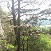 Review photo of Hanging Rock State Park Campground by Jolie L., March 26, 2021