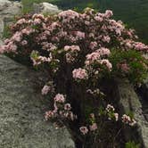 Review photo of Hanging Rock State Park Campground by Jolie L., March 26, 2021