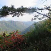 Review photo of Linville Falls Campground — Blue Ridge Parkway by Jolie L., March 26, 2021