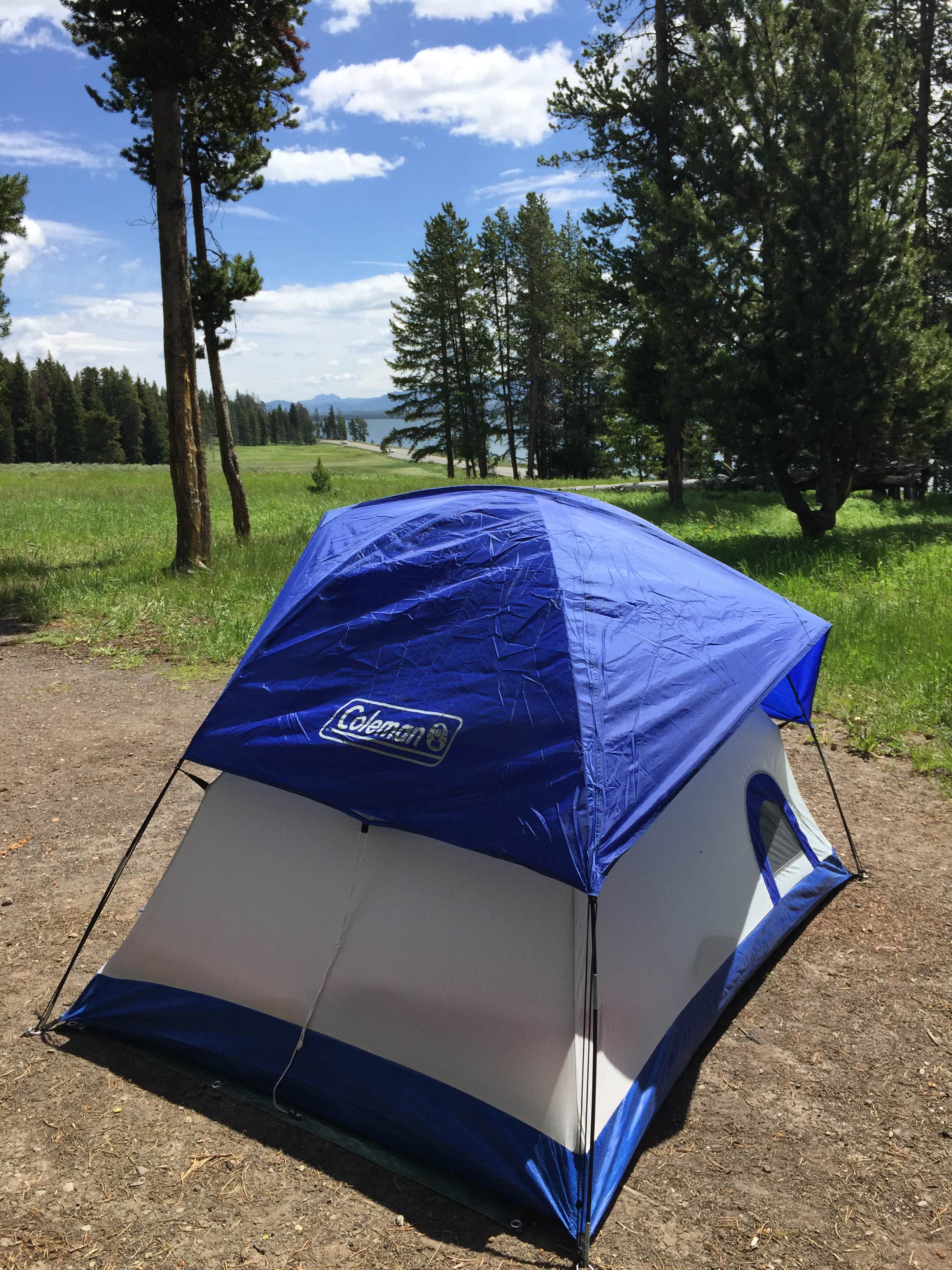 Camper submitted image from Bridge Bay Campground — Yellowstone National Park - 2