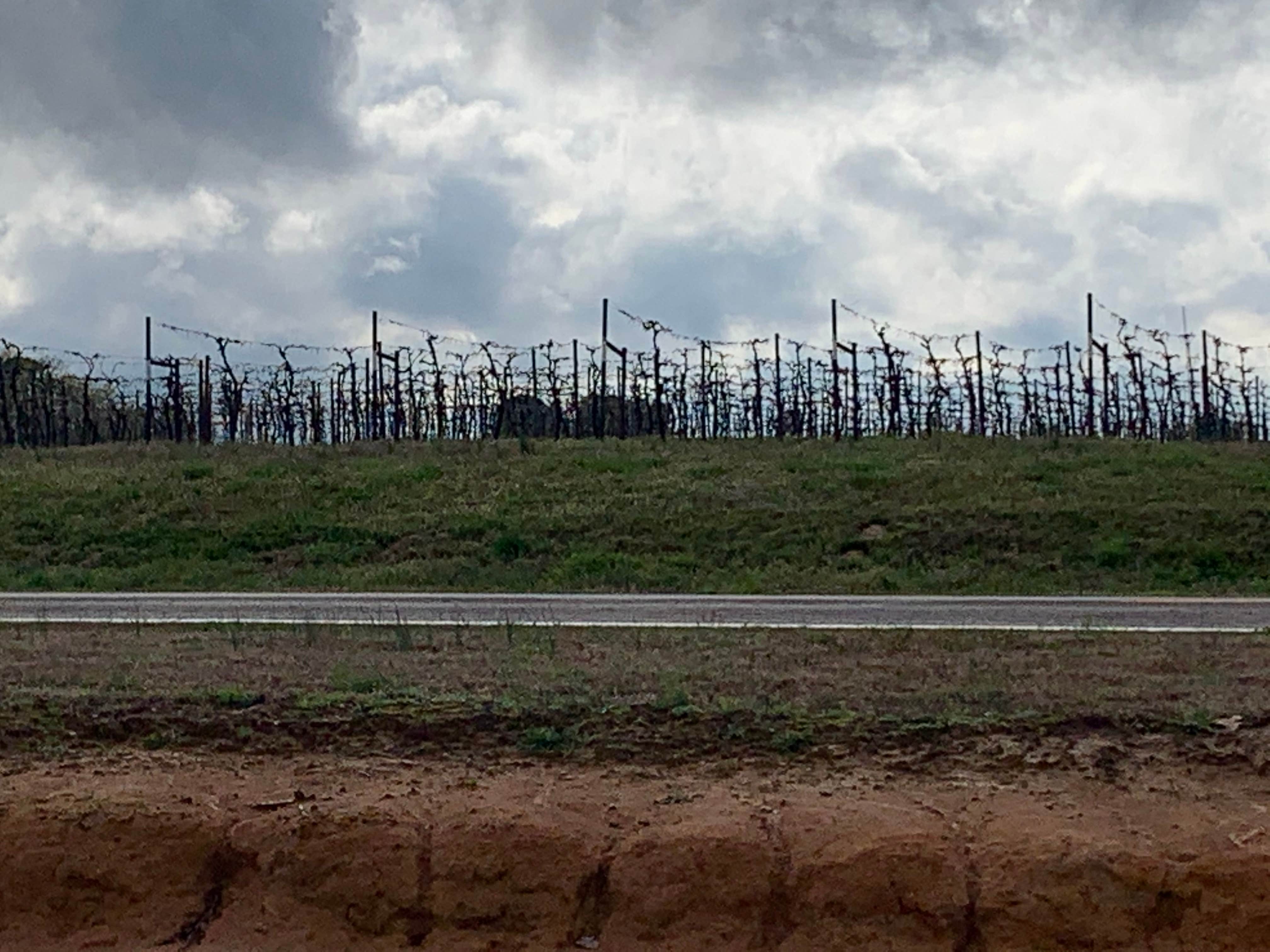 Camper-submitted photo at Grape Country RV Park near John Paul Hammerschmidt Lake