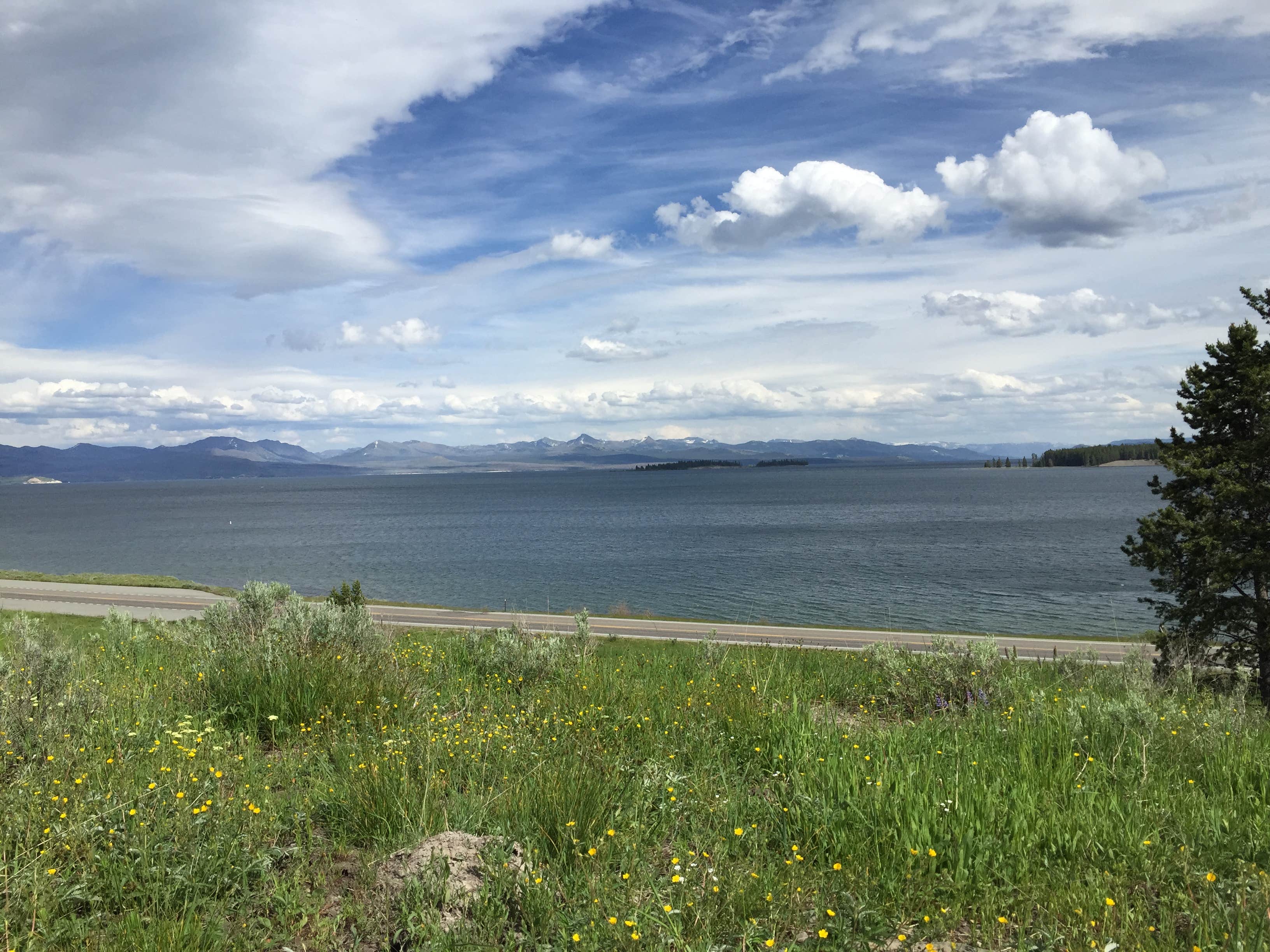 Camper submitted image from Bridge Bay Campground — Yellowstone National Park - 2