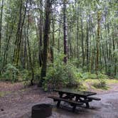 Review photo of Hendy Woods State Park Campground by Adam B., March 26, 2021