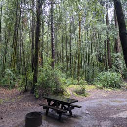 Hendy Woods State Park