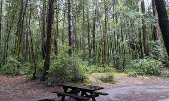 Camping near Manchester State Park Campground: Hendy Woods State Park Campground, Philo, California