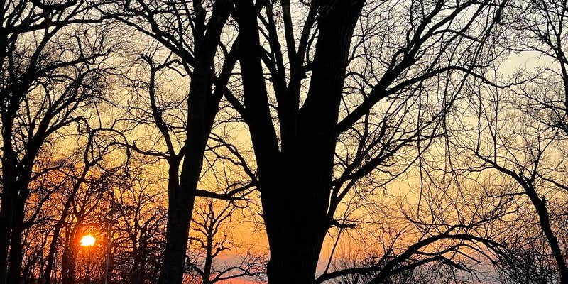 Camper submitted image from Jackson Bay Recreation Area