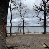 Review photo of Jackson Bay Recreation Area by Jessica , March 26, 2021