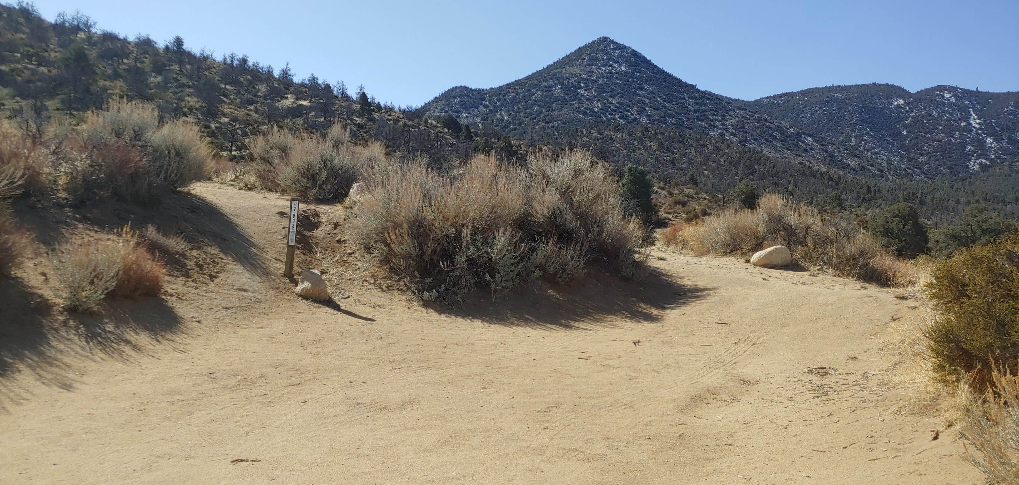 Camper submitted image from Walker Pass Campground - 2