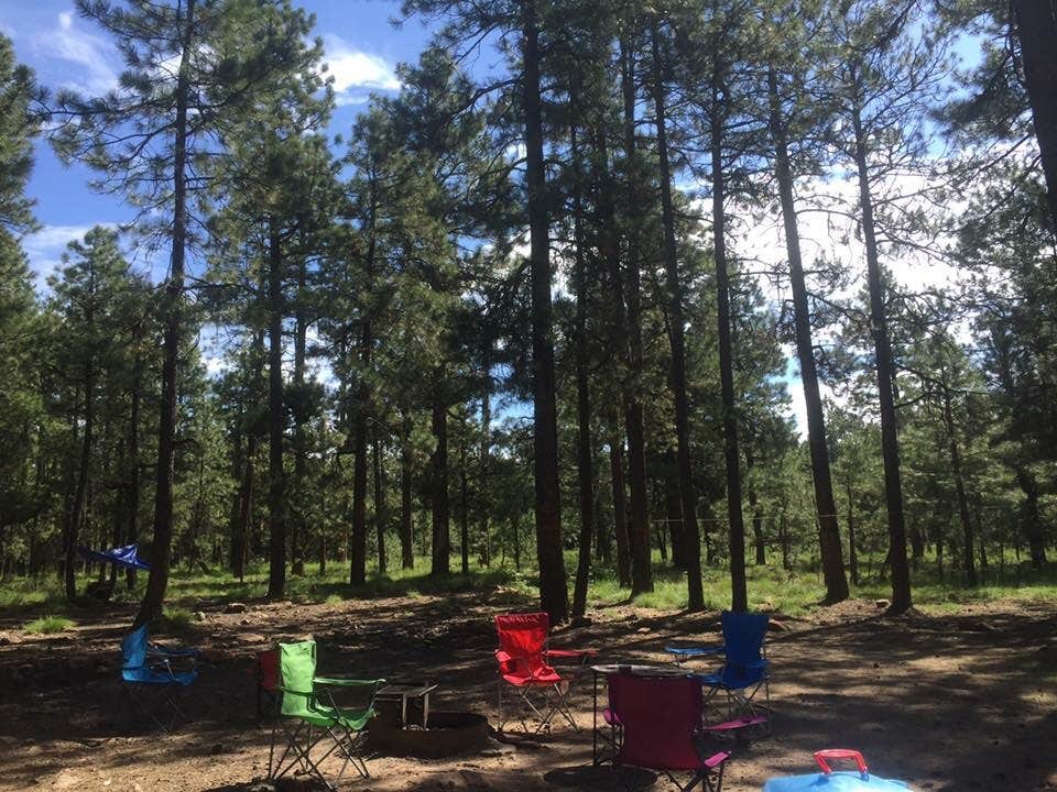Jamey R.'s photo at Fr 9350 Campground near Kohls Ranch, AZ