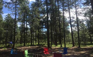 Jamey R.'s photo at Carr Lake Campground on Forest Road 9350 near Kohls Ranch, AZ