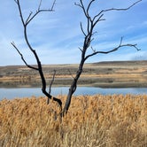 Review photo of Nunnally Lake by J. I., March 26, 2021
