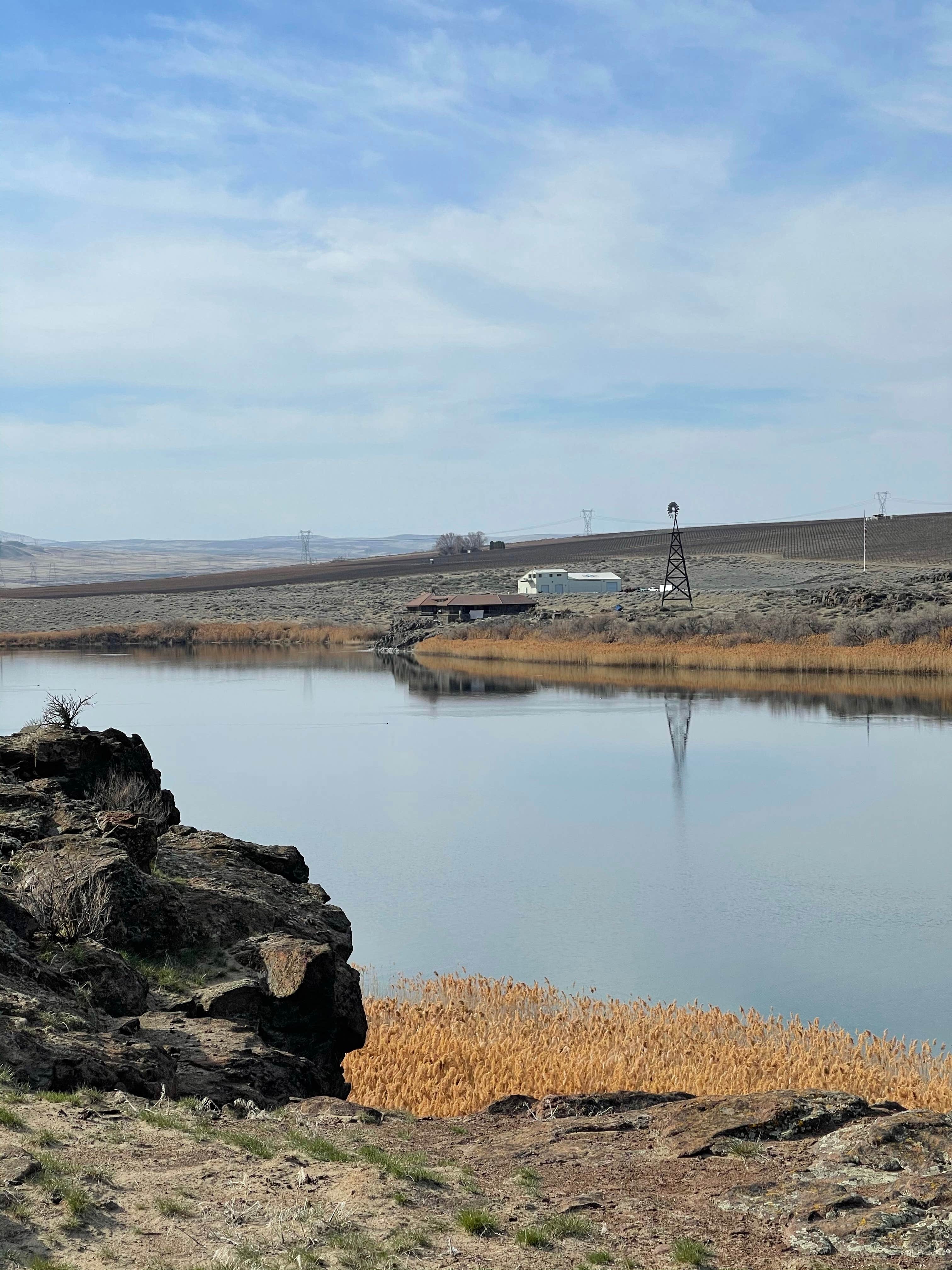 Camper-submitted photo at Nunnally Lake near Prosser, WA
