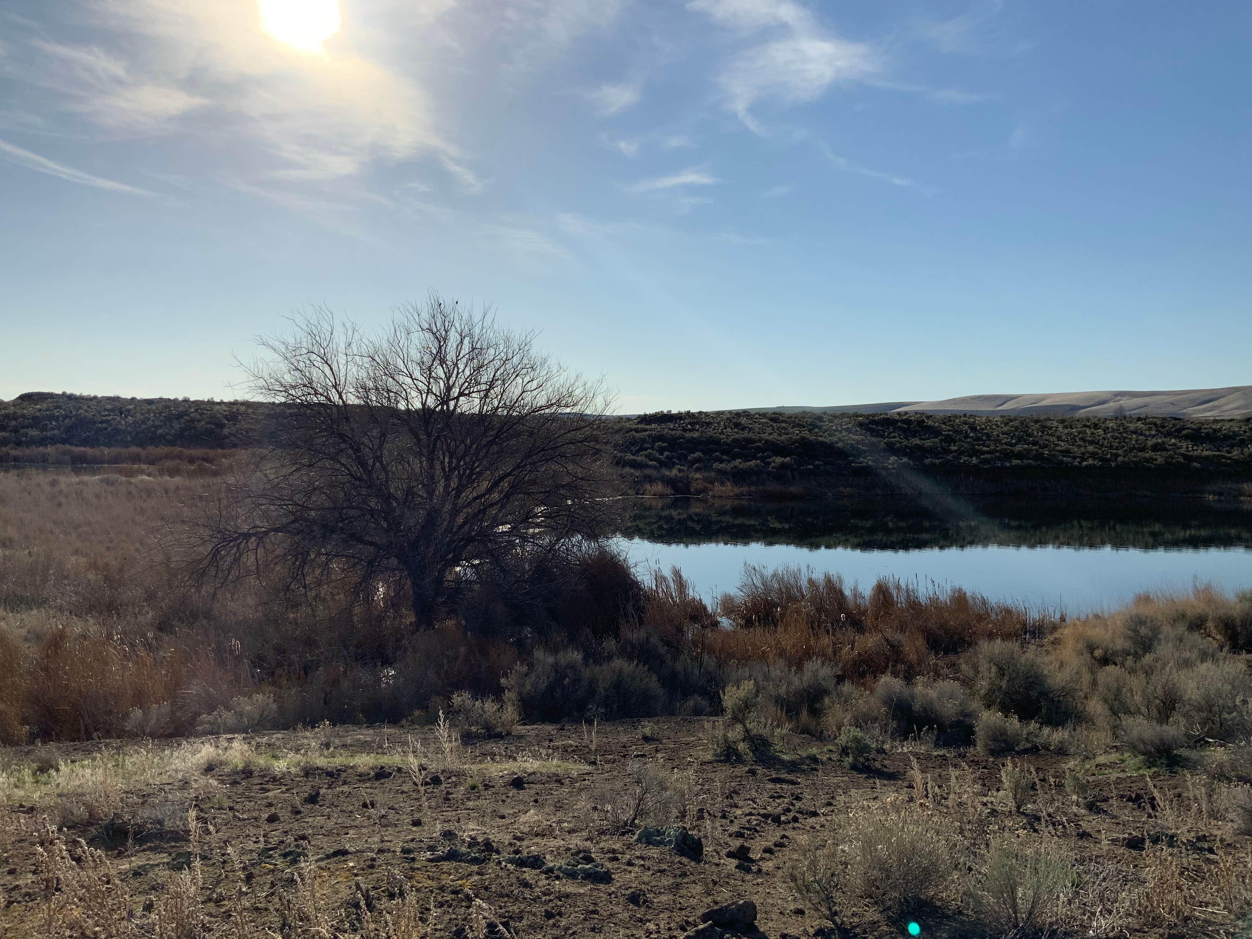 Camper-submitted photo at Caliche Lake near Quincy, WA